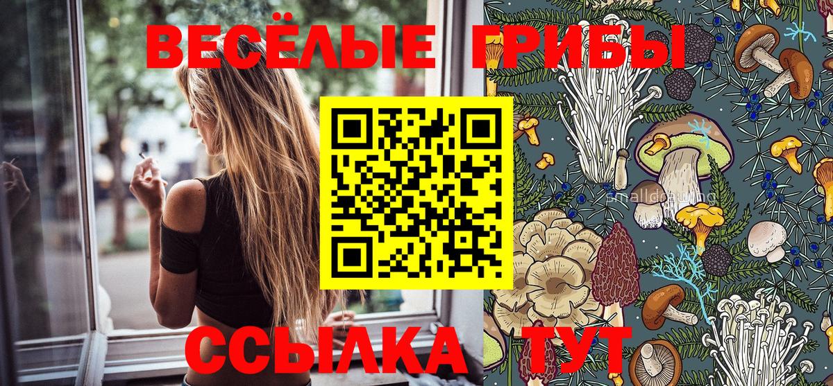 Галлюциногенные грибы Cubensis Балтийск