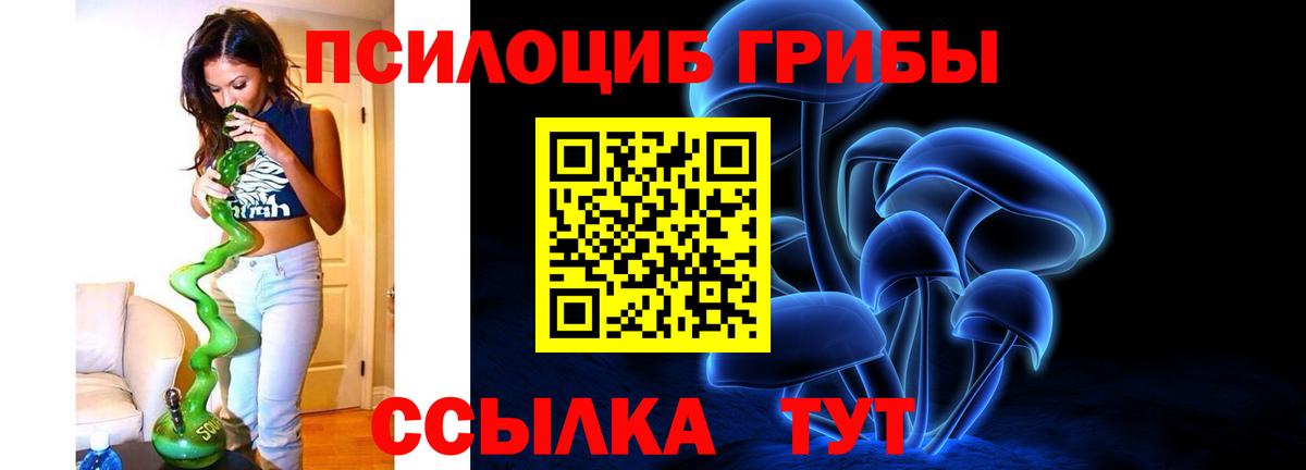 Галлюциногенные грибы прущие грибы  Вход с VPN  Балтийск  Псилоцибиновые грибы ЛСД 